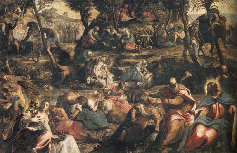 Jacopo Tintoretto Gathering of Manna Sweden oil painting art
